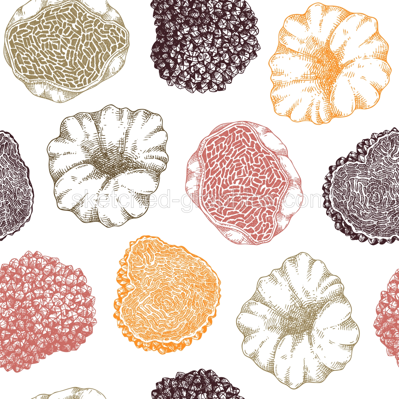 Truffle seamless pattern in color.  Edible mushroom background. Forest fungus sketch. Fungal protein, mycoprotein source. Healthy food and plant-based meat substitutes texture design Illustration